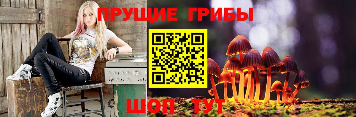 Галлюциногенные грибы Magic Shrooms Ульяновск