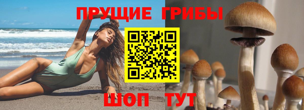 Ульяновск  Галлюциногенные грибы MAGIC MUSHROOMS  Вход с VPN 